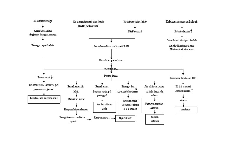 Patofisiologi Distosia Bahu dan Risiko | PDF