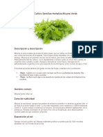 Manual Cultivo Semillas Hortaliza Mizuna Verde