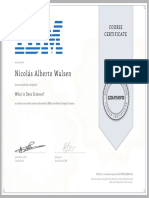 Nicolás Alberto Walsen: Course Certificate
