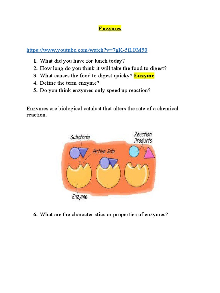 Enzymes Are Biological Catalyst That Alters The Rate of A Chemical
