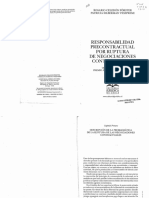 Celedon, Rosario y Silberman, Patricia - Responsabilidad Precontractual