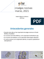 Microalgas Nocivas Marzo 2021 Informativo