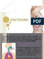 Anatomadeldiafragma 131003192958 Phpapp01