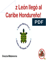 3.5 - Pez Leon - Honduras