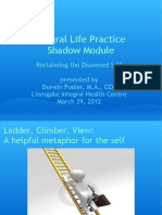 Integral Life Practice Shadow Module
