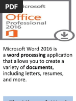 Microsoft Word Window