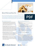 Preventive Brochures Blood Work