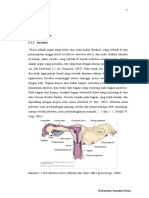 2.1. Endometrium 2.1.1. Anatomi: Universitas Sumatera Utara
