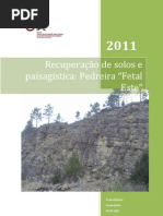 Recuperação Paisagistica da Pedreira Fetal Este (verção final)