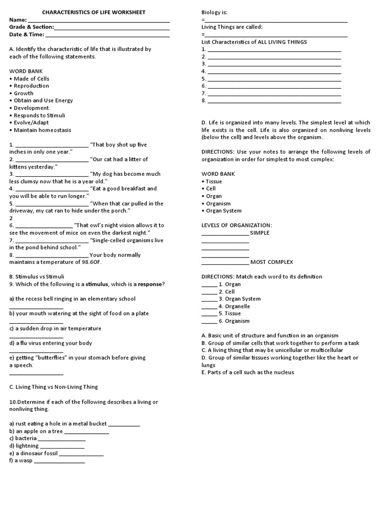 Characteristics of Life Worksheet PDF Organ (Anatomy) Cell (Biology)