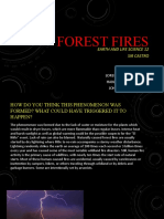 Forest Fires: Earth and Life Science 12 Sir Castro