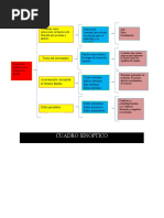 Cuadro Sinoptico