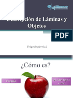 Descripción de Láminas y Objetos SNT