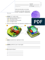 1ºteste CN-MATÉRIA 5ºANO 