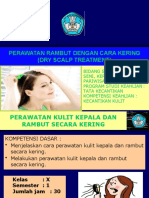 Perawatan Rambut Secara Kering (Dry Treatment)