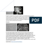 Trabajo Del Laboratorio de Anatomiaradiologica Alex Rivaldo Hurtado Mendoza.