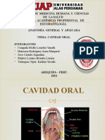 Cavidad Oral Anatomía