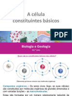 PP29 Celúla - Constituintes Básicos