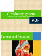 Lecture - Chapter 32 - Circulatory System