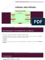 5. Metabolismo microbiano