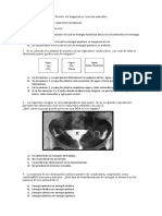 Prueba  de diagnóstico 7° basico ciencias naturales