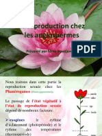 Cours 8 - La Reproduction Chez Les Angiospermes (Partie 1)