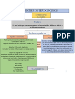 Lesiones de Tejidos Óseos Mapa Conceptual