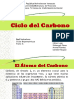 Ciclo Del Carbono
