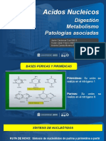 Bioquimica LL