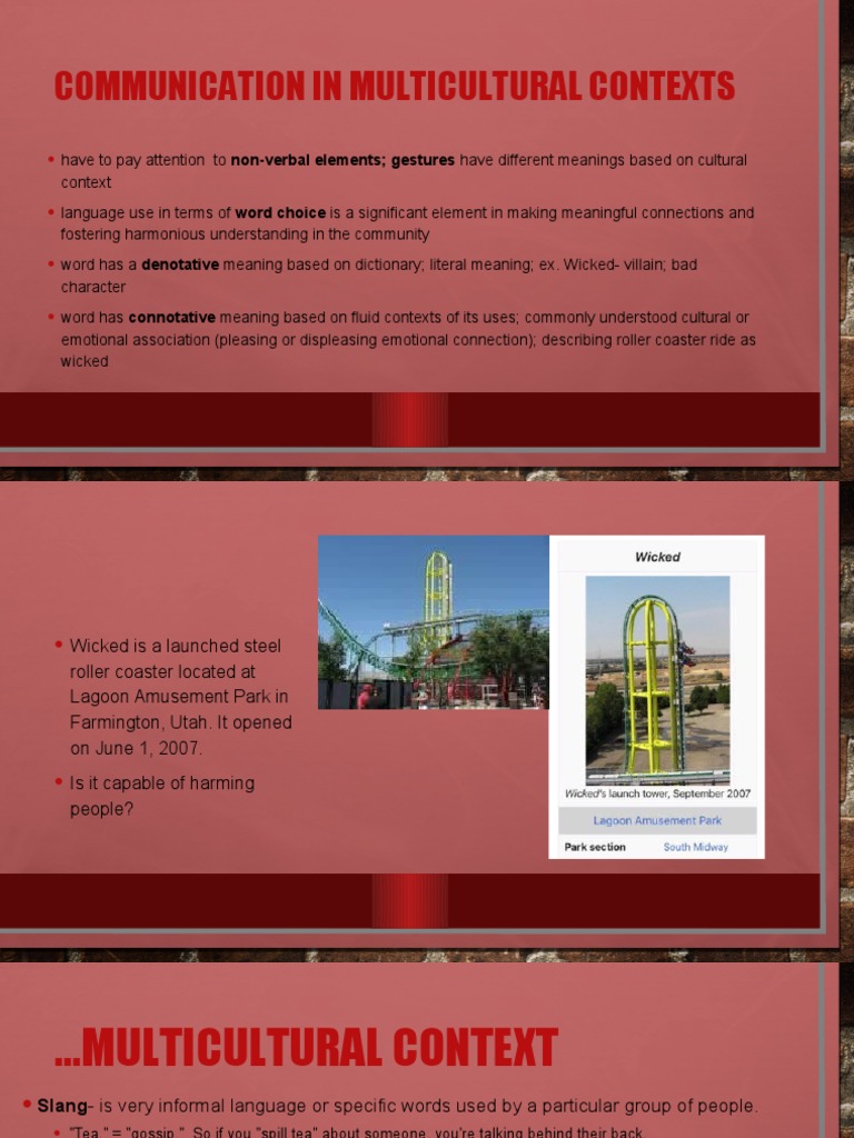 Communication In Multicultural Contexts Pdf Idea Jargon