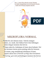 Gambar 1: Lokasi Flora Mikroba Normal. Masing-Masing Area Tubuh Mengandung Microenvironments Mereka Sendiri Dan Berbagai Penghuni Mikroba