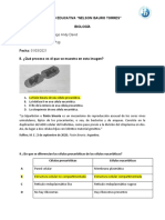 La fisión binaria de una célula procariótica