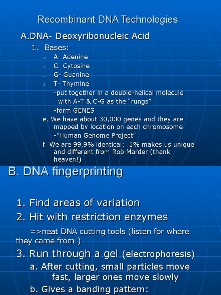 Recombinant DNA Technologies | PDF | Molecular Cloning | Gene