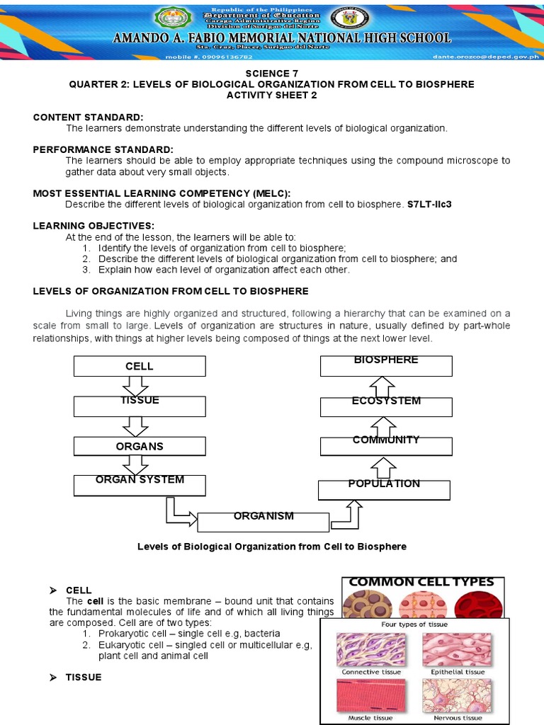 Module 2 | PDF | Organ (Anatomy) | Cell (Biology)