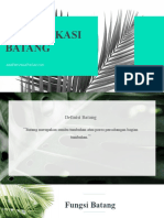 Identifikasi Batang