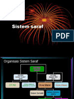 02-Sistem Saraf Otonom