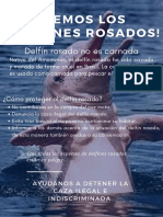 Delfin Rosado