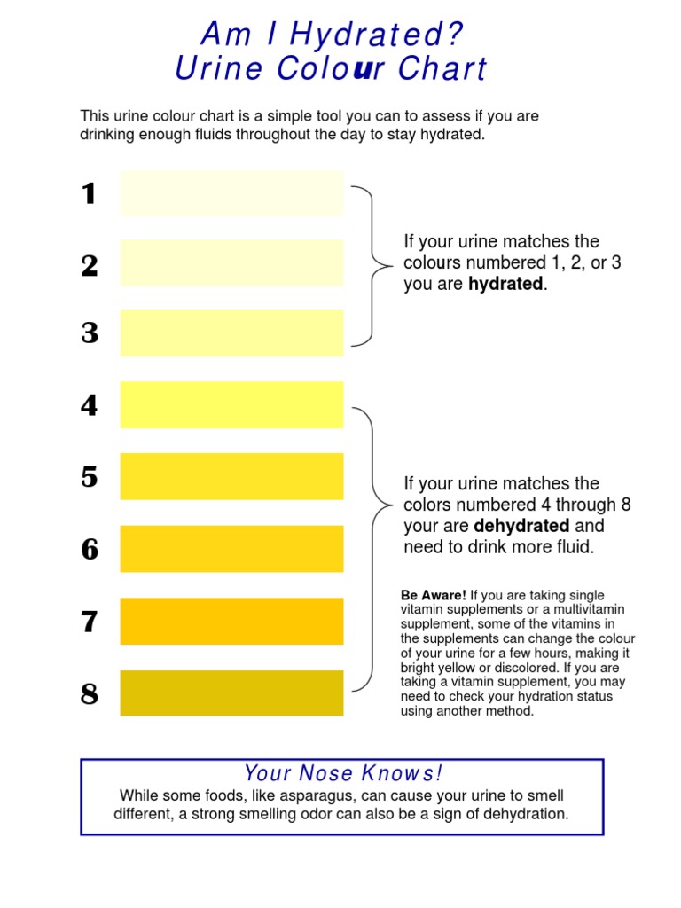 Urine Color Chart for Hydration Status | PDF