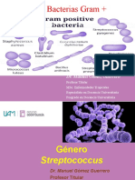 Bacterias Gram +