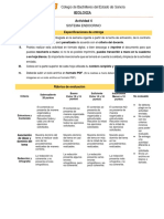 Sistema endocrino: hormonas y sus funciones