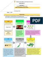 P3-BIO2-Actividad 1-TEORIAS DE EVOLUTIVAS Danna Zuleika Antunez Piña 404M