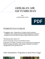 Pergerakan Air Dalam Tumbuhan