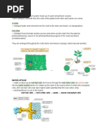 Transport in Plants - IGCSE Biology Notes | PDF | Leaf | Root