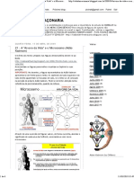 A Arvore da Vida e o Microcosmo no blog KABBALAH e MAÇONARIA
