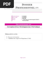 mod-le-vierge-de-dossier-professionnel-pdf-business