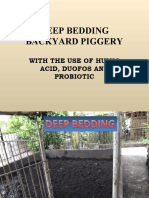 Deep Bedding Backyard Piggery: With The Use of Humic Acid, Duofos and Probiotic