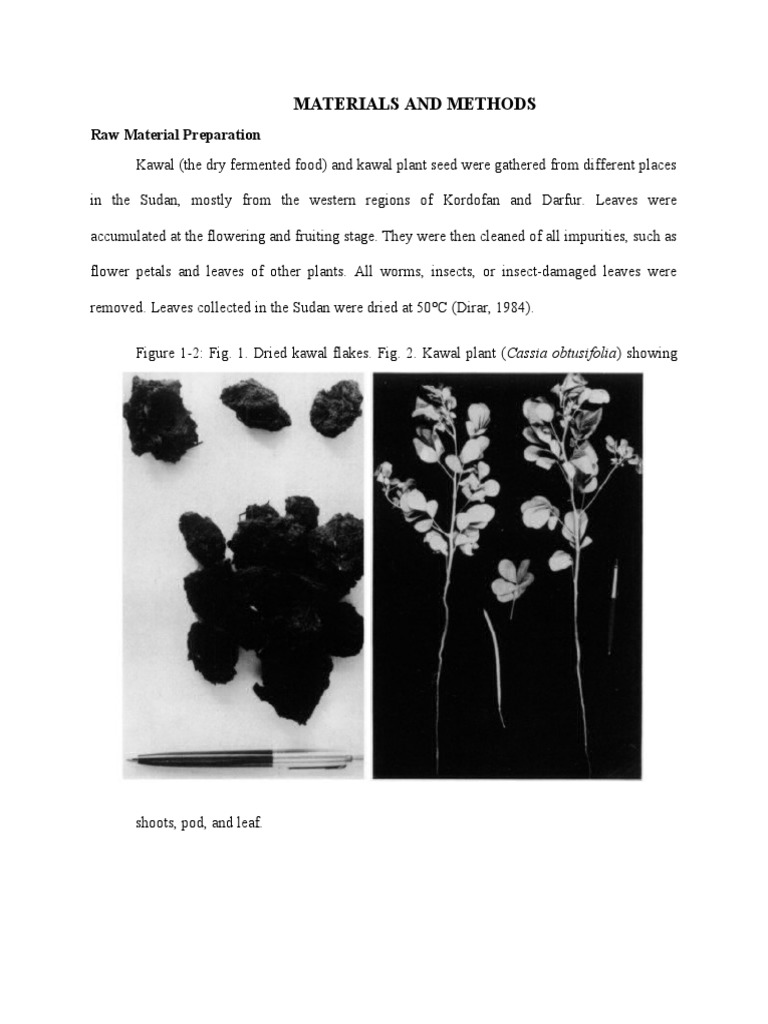 Materials and Methods PDF Leaf Foods