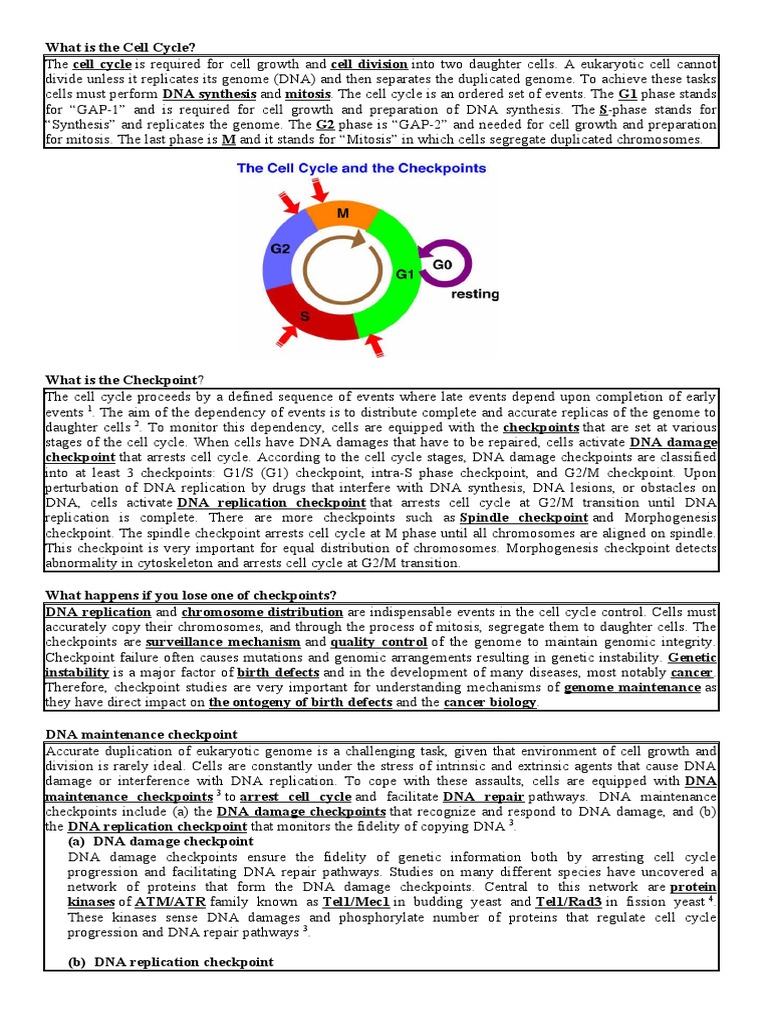 Cell Cycle Checkpoints Biology Diagrams