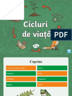 t2 S 411 Cicluri de Viata Prezentare Powerpoint