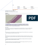 Examen Final Primer Bloque Teórico Biología Humana